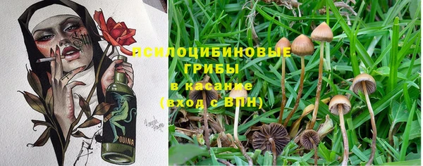 марки nbome Ладушкин
