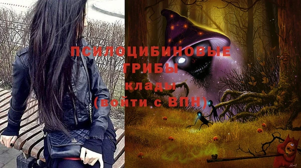 ALPHA PVP Лабытнанги